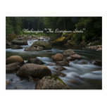 Washington "The Evergreen State" Post Card