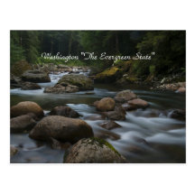 Washington "The Evergreen State" Post Card