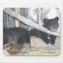 Washington Twins 2009 Mousepad