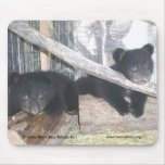 Washington Twins 2009 Mousepad