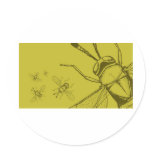 Wasp, Aphycus Annulipes Stickers