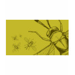 Wasp, Aphycus Annulipes t-shirts