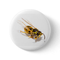 Wasp Pins