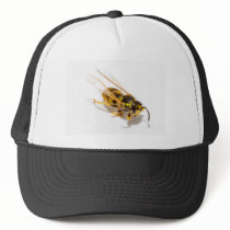 Wasp Mesh Hats