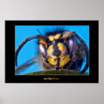 Wasp Head Poster