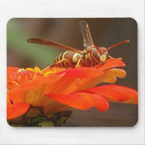 WASP LANDING mousepad