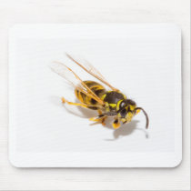 Wasp Mouse Mats