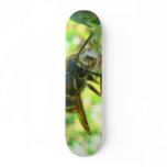 Wasp skateboards