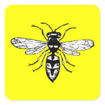 Wasp