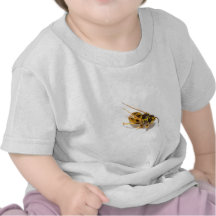 Wasp T Shirts
