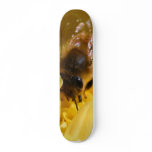 Wasps Insect skateboards