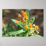 Waspy In Nature Poster posters