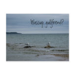 Wassup, gullfriend? postcards