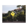 Watch For Sheep Sign Boulder City Nevada Postcard