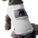 Watch out!  I was a Tasmanian Devil pet clothing