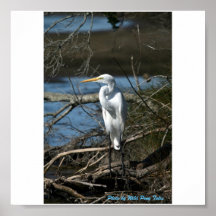 Watchful Eyes Poster