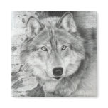Watchful Eyes Wolf Magnet