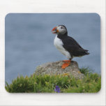 Watchful Puffin mousepads
