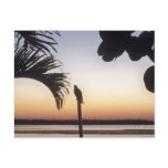 Watchful Sunrise Postcards