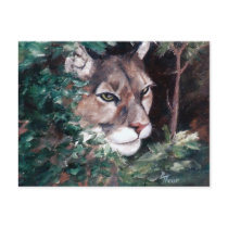 Watching Cougar Postcard