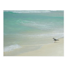 Watching the Waves Roll in Postcard