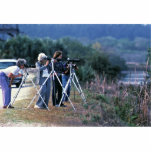 Watching Wildldife Photo Cutout