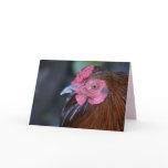 "watching you" greeting card