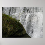 Water and Earth Posters
