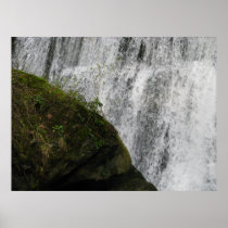 Water and Earth Posters