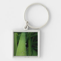 Water Beads on Grass Key Chains