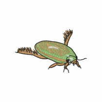 Water Beetle Polo