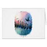 WATER BIRDS cards
