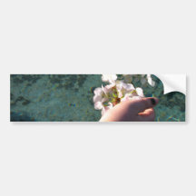 Water Blossoms Bumper Sticker