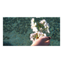 Water Blossoms Photo Card Template
