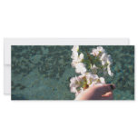 Water Blossoms Personalized Rack Card