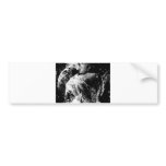 water bumper sticker