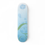 Water Cube Skateboard