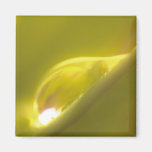 Water Drop Magnet 3