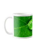 water drop on leaves mugs