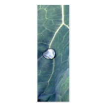 Water Droplet on a Cabbage Leaf Business Card Template