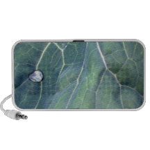 Water Droplet on a Cabbage Leaf Speaker