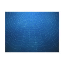 Water drops on a spider web (Blue) Postcard