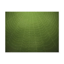 Water drops on a spider  web (Green) Postcards