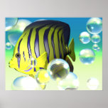 Water Fantasy Angelfish Print