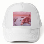 Water Fantasy Dolphin Shirts hats