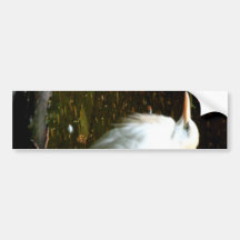Water Fowl Bumper Sticker