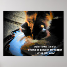 Water from the sky posters