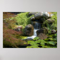 Water Garden   Print