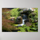 Water Garden   Print