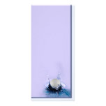 Water Hazard rack cards